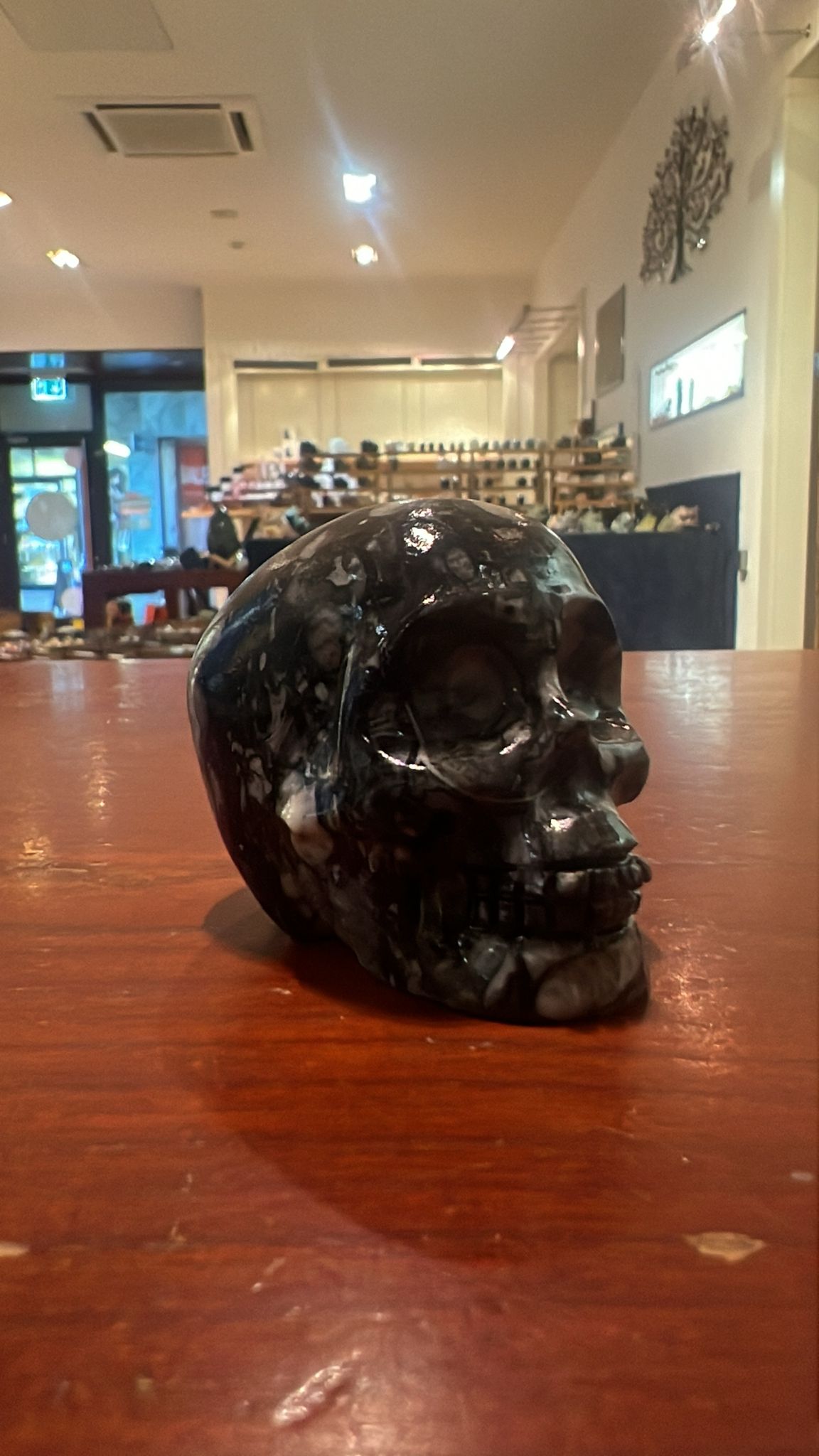 Zebra Jasper: The Ultimate Crystal for Balance and Strength