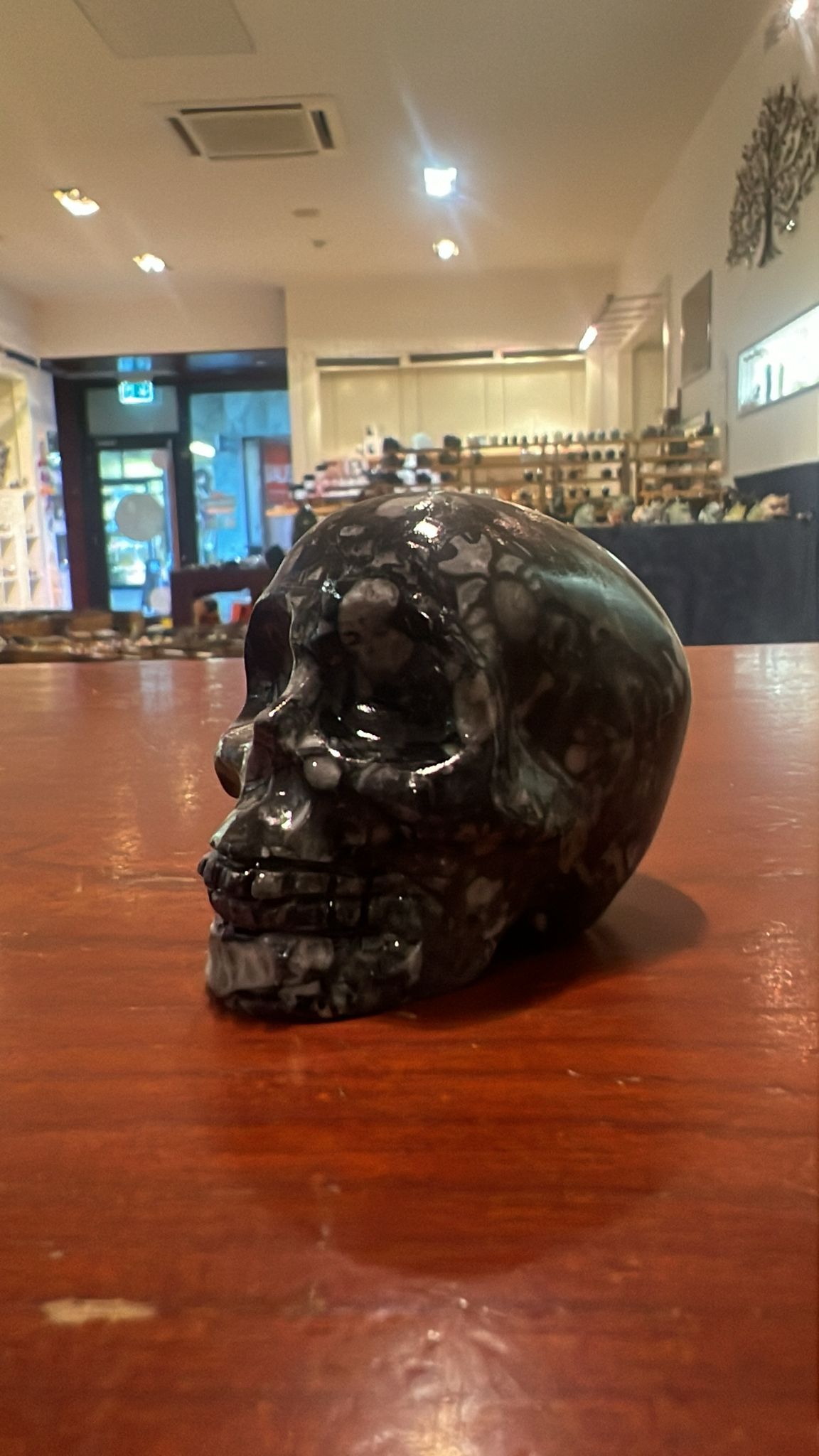 Zebra Jasper: The Ultimate Crystal for Balance and Strength