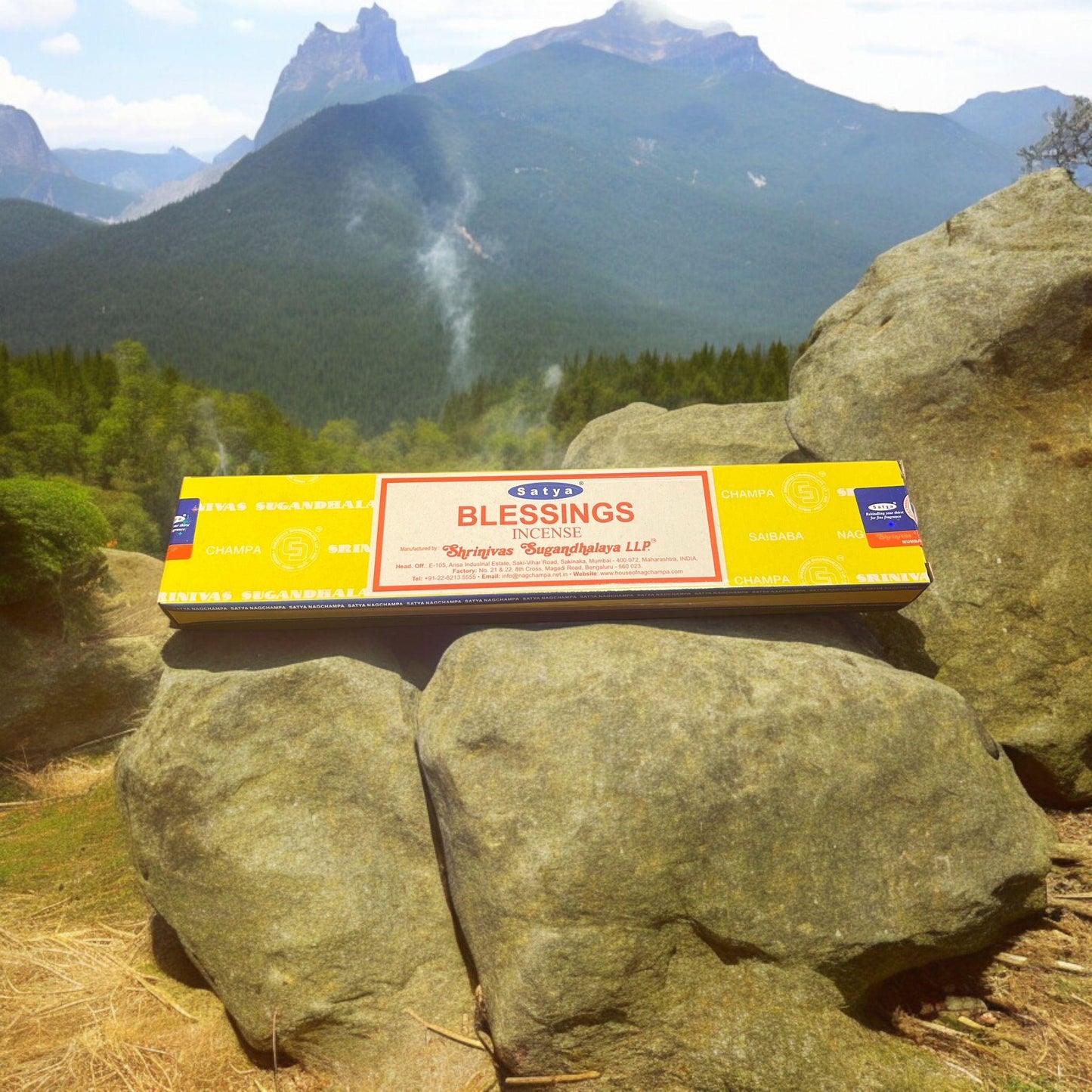 Blessings - Satya Incense Sticks - Crystals By Astraea