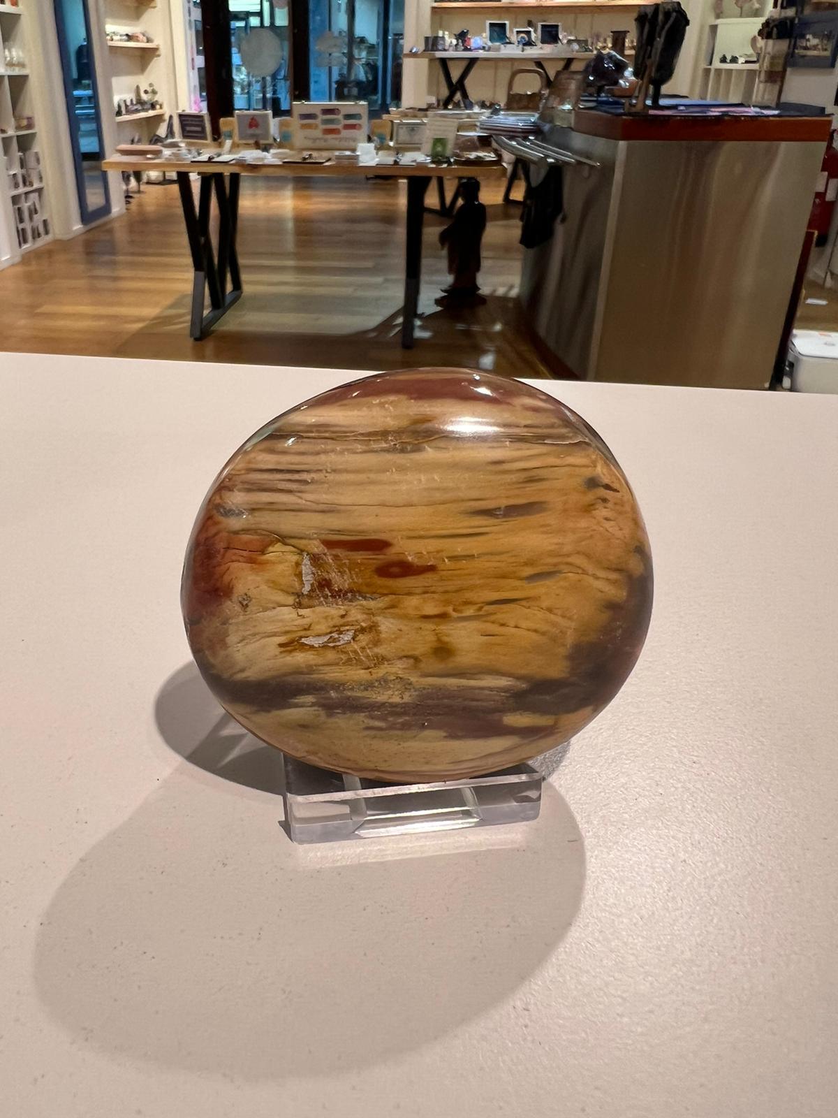 Ocean Jasper Palm ( 294g ) - Crystals By Astraea