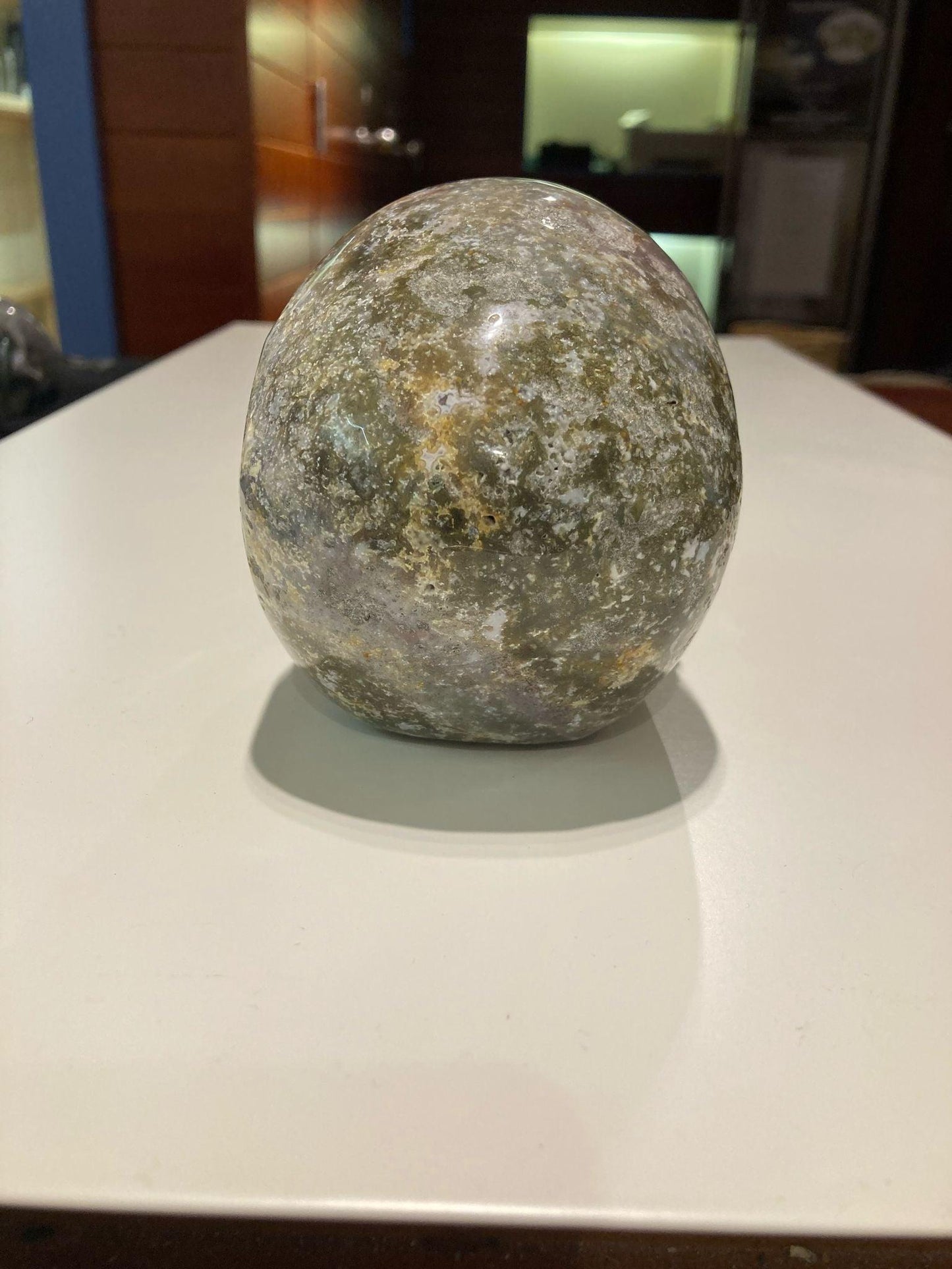 Ocean Jasper Skull - Crystals By Astraea