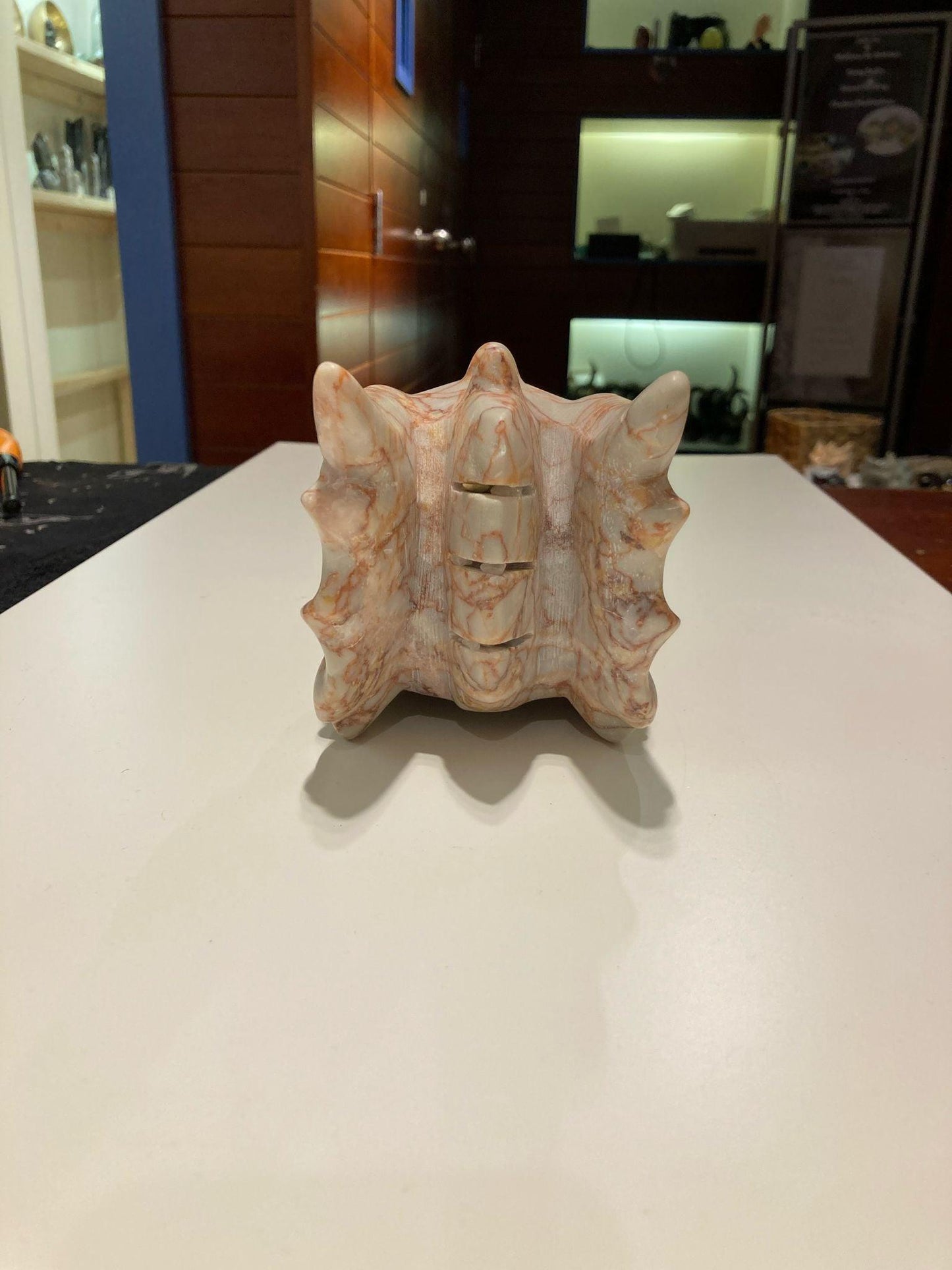 Red Vein Jasper Dragon Head ( 1510g ) - Crystals By Astraea