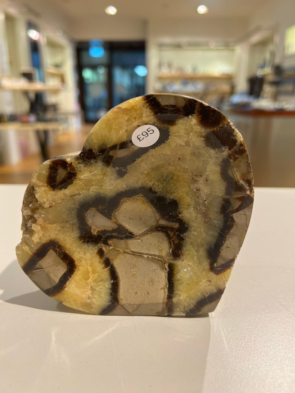 Septarian Bowl ( 700g ) - Crystals By Astraea
