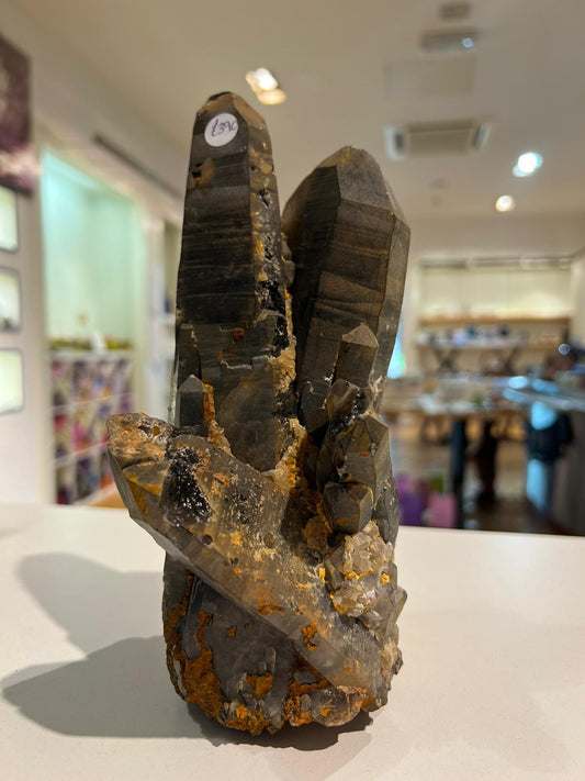 Smoky Quartz Freeform ( 1966g ) - Crystals By Astraea