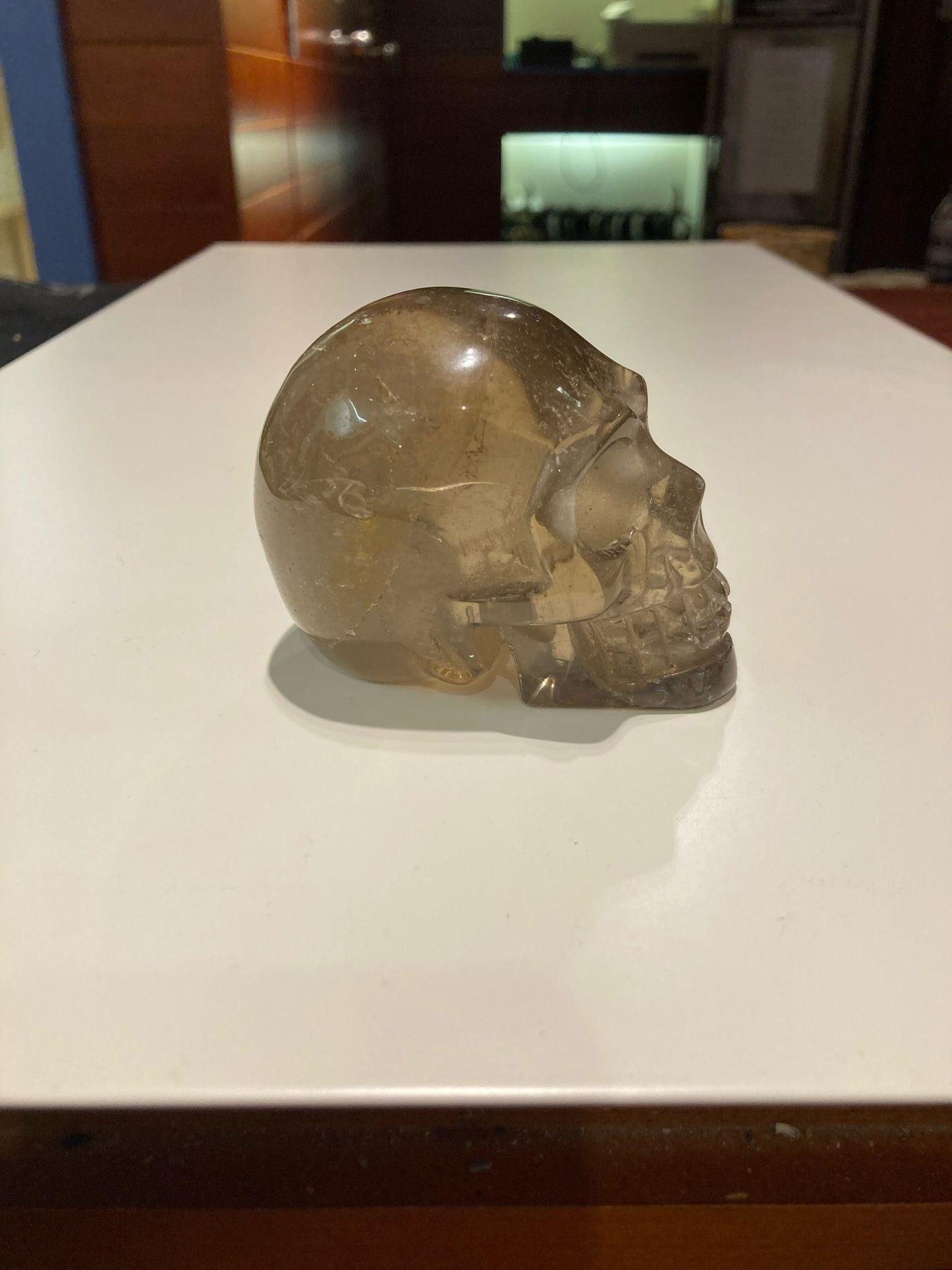 Smoky Quartz Skull ( 310g ) - Crystals By Astraea