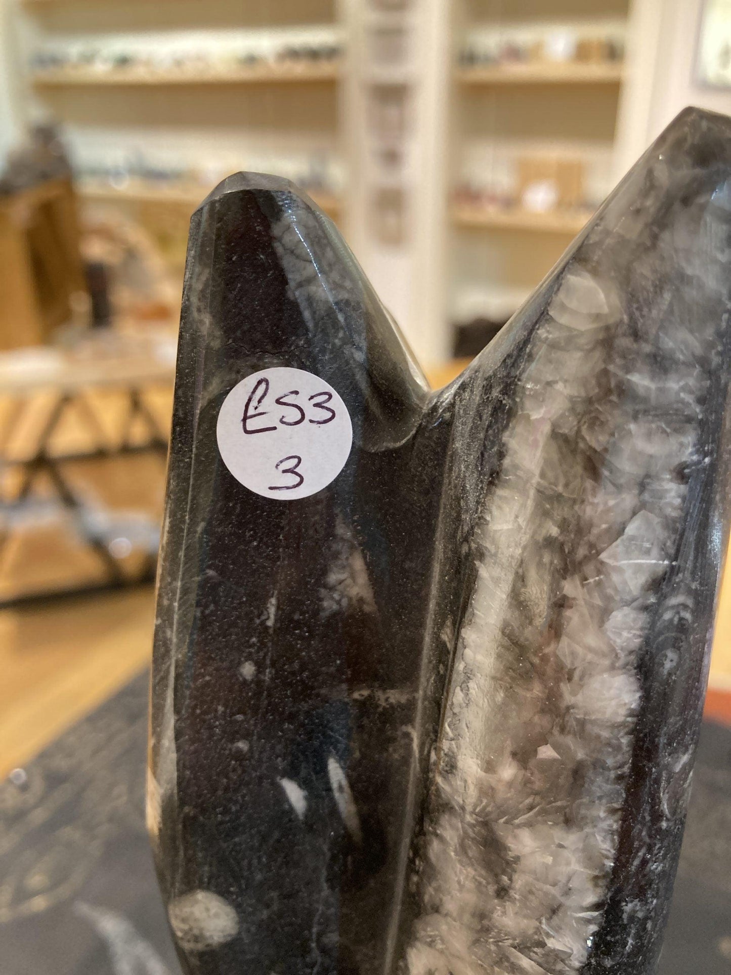 Orthoceras Carvings - Crystals By Astraea