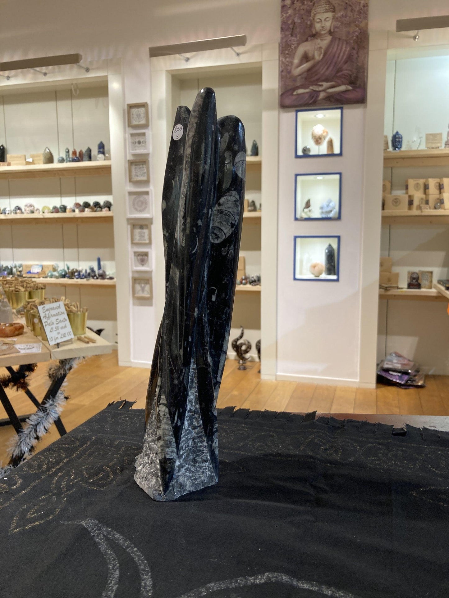 Orthoceras Carvings - Crystals By Astraea
