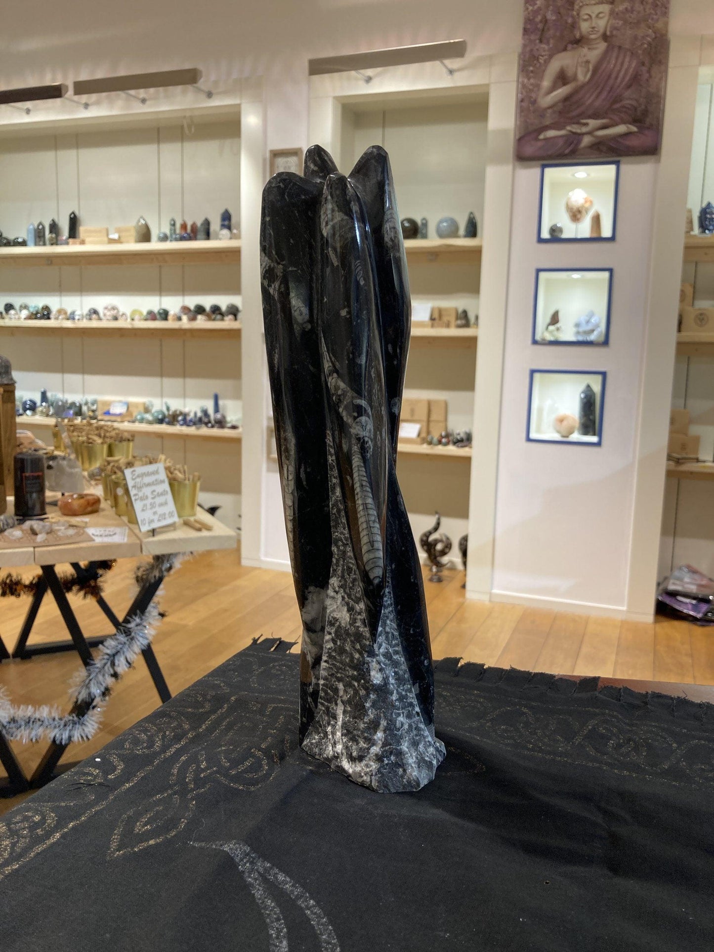 Orthoceras Carvings - Crystals By Astraea