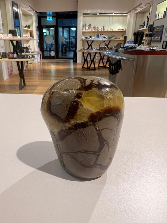 Septarian Free Form ( 535g )