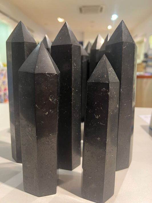 Shungite With Pyrite Towers