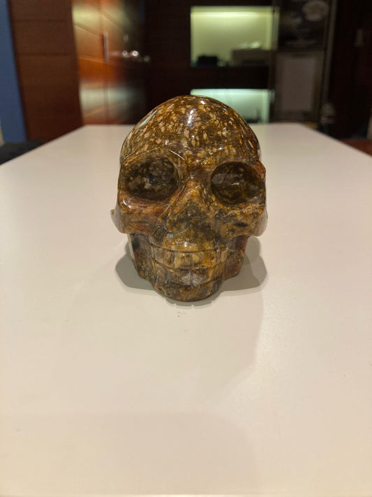 Ocean Jasper Skull ( 490g )