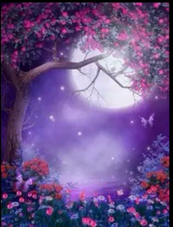 11th May Meditation & Sound Bath Flower Moon