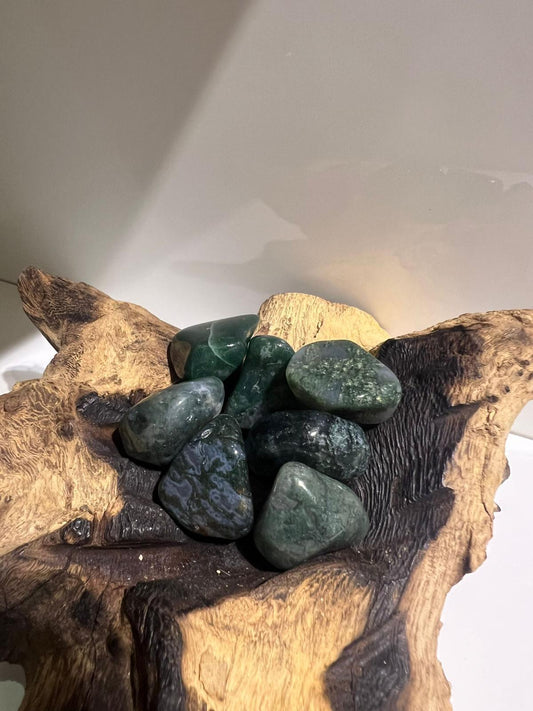 Moss Agate - Tumble Stone - Crystals By Astraea