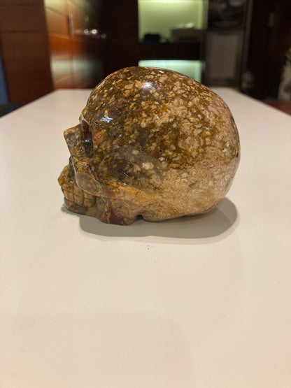 Ocean Jasper Skull ( 490g ) - Crystals By Astraea