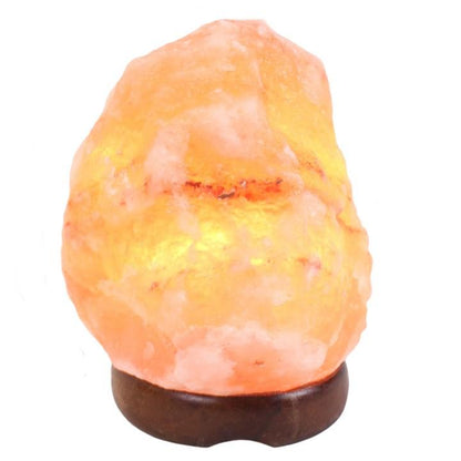 Salt Lamp 1.5kg - 2kg - Crystals By Astraea