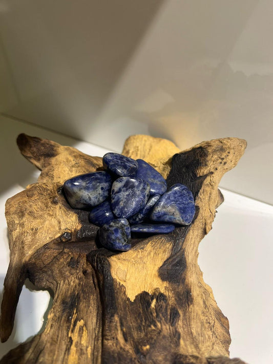 Sodalite - Tumble Stone - Crystals By Astraea