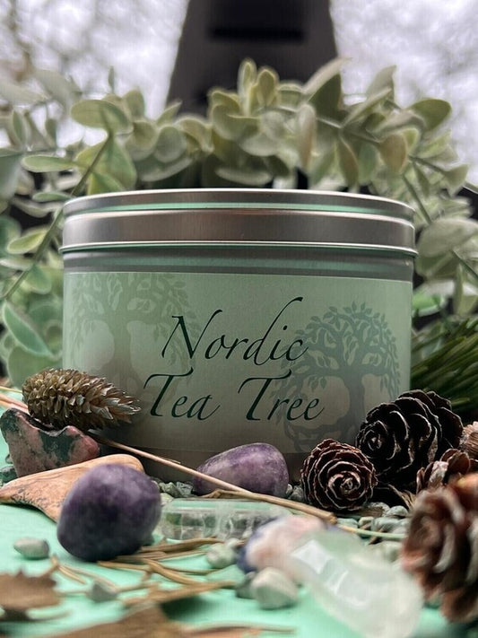 Nordic Tea Tree Crystal Candles